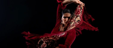 Event-Image for 'FLAMENCO JOSÉ SATORRE - EL PURO ARTE FLAMENCO'