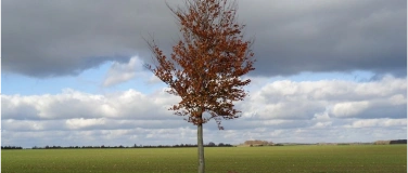 Event-Image for 'Wanderung durch den Karswald beim Schwarzen Ross.'