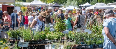 Event-Image for '15. Gartenmarkt "Sommer-Blüten-Träume"'