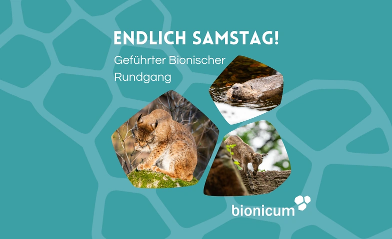 Event-Image for 'Endlich Samstag! Bionische Führung durch den Tiergarten'