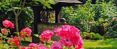 Event-Image for 'Offener Garten'
