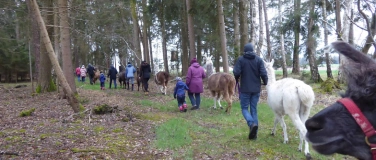 Event-Image for 'Glühwein-Wanderung'