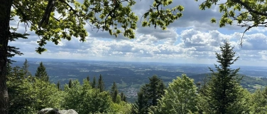 Event-Image for 'Wandern Yoga-Rücken Retreat im südlichen Bayerischen Wald'
