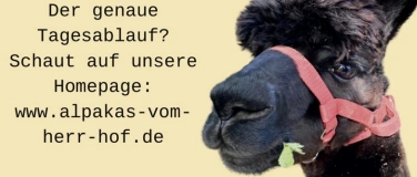 Event-Image for 'Hoffest Pfingstmontag'