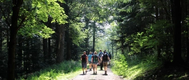 Event-Image for 'Wandern für Alle: Schwarzwald - Lautenbacher Teufelssteig'