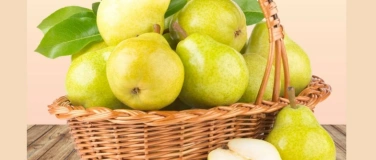 Event-Image for 'Workshop Körbe flechten'