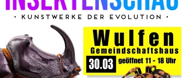 Event-Image for 'Insektenschau Kunstwerke der Evolution'