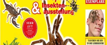 Event-Image for 'Insectophobie Riesen Spinnen & Insekten Ausstellung'