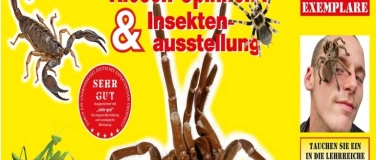 Event-Image for 'Insectophobie Riesen Spinnen & Insekten Ausstellung'