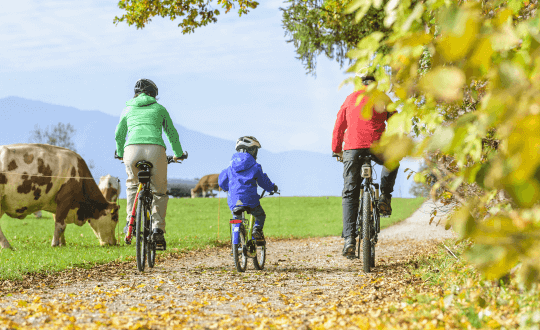 Event-Image for 'Alpaka Trekkingtour Niederkrüchten Brüggen Mönchenglad'