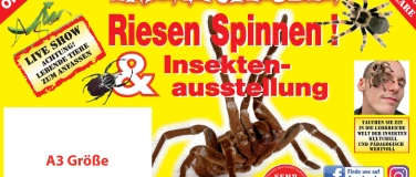 Event-Image for 'Insectophobie Riesen Spinnen & Insekten Ausstellung'