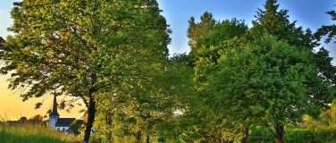 Event-Image for 'Themenwanderung'
