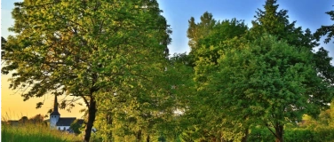 Event-Image for 'Themenwanderungen'