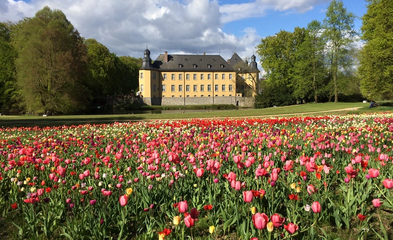 Event-Image for 'Schlossfrühling in Schloss Dyck'