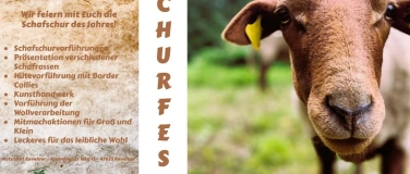 Event-Image for 'Schafschurfest am Naturhof Kevelaer'