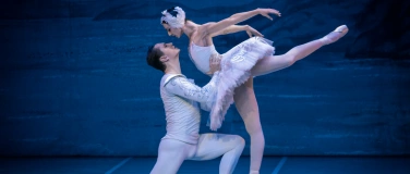 Event-Image for 'Schwanensee - International Festival Ballet'