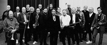 Event-Image for 'SWR Big Band & Paul Carrack - The Swinging Christmas Show'