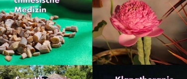 Event-Image for '1. Tag der Heilkunst im Chinesischen Pavillon'