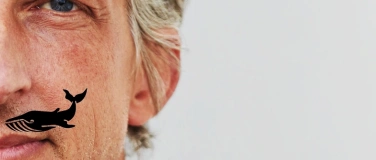 Event-Image for 'Frankfurt-Premiere: William Wahl "wahlweise"'