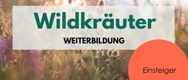 Event-Image for 'Wildkräuter Weiterbildung Rhein-Main-Gebiet'