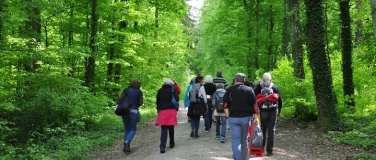Event-Image for 'Zäme go Laufe  60+ Bösmösli 6.1 Km'